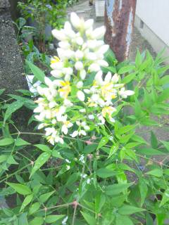 130621_110451.jpg