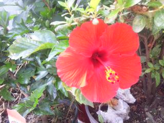 130617_101701.jpg