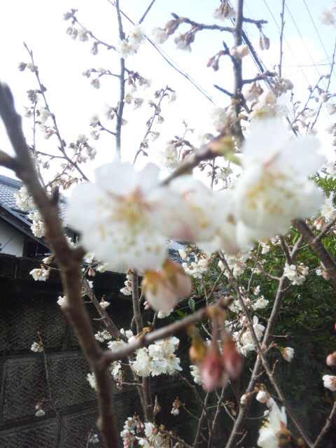 140314_083243.jpg