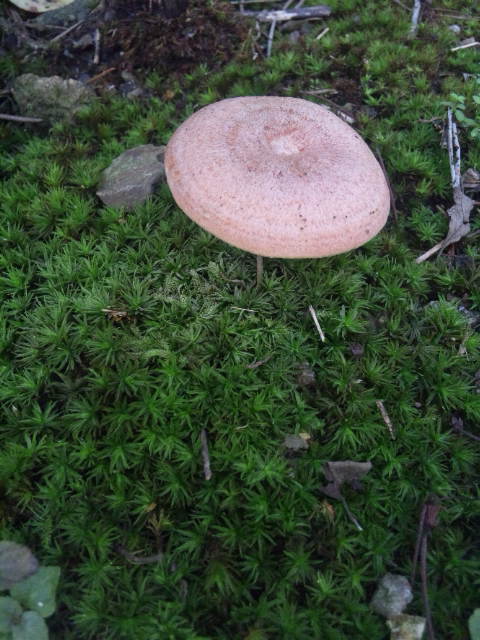 161002_080707.jpg