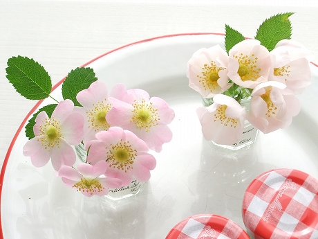 140708b.jpg