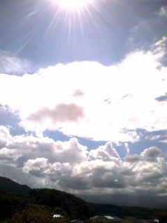 20080821130826.jpg