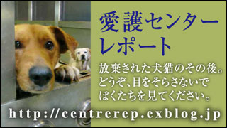 愛護センター・レポート