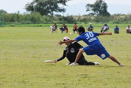 ultimate in shizuoka