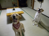 ふたりのこんな笑顔を見れて幸せです☆