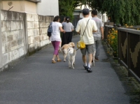 みんなでお散歩に行きました♪