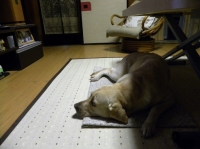いつもの指定席