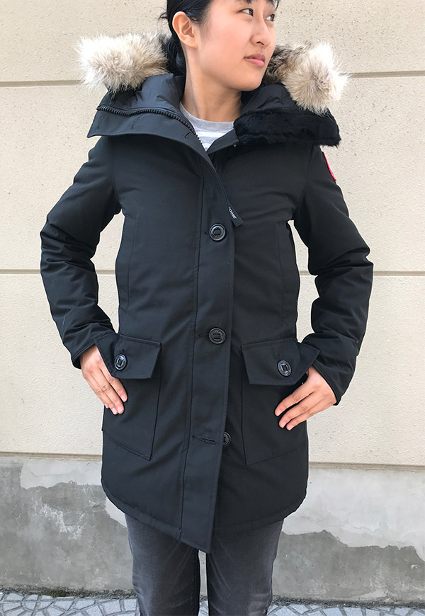 canada goose ֥.jpg