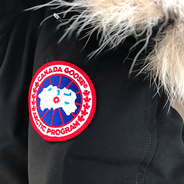 CANADA GOOSE.jpg