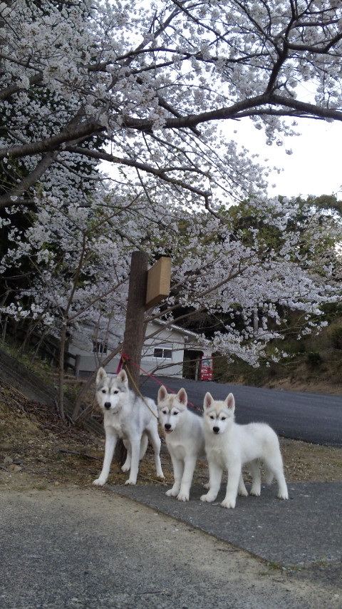130325_174337.jpg