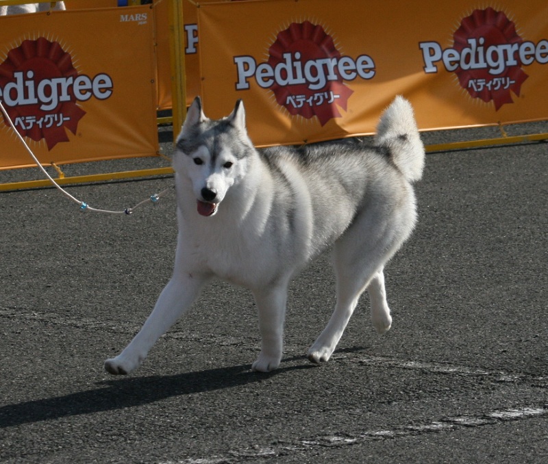 IMG_2582.JPG