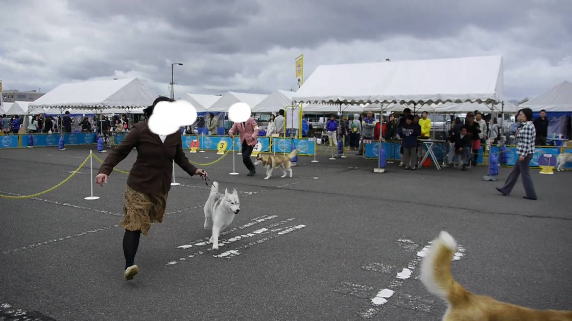 2013-05-01 01.16.10.png