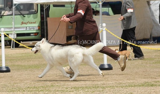20120428_815497.jpeg