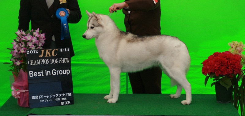 20120421_814204.jpeg