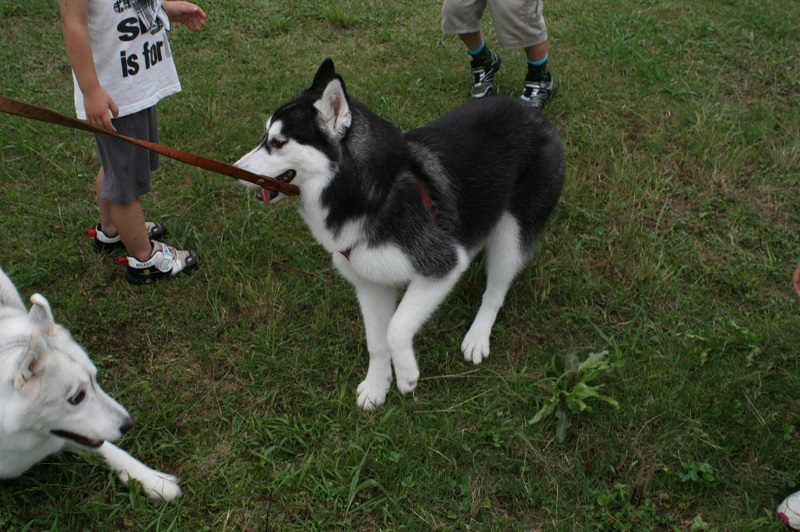 IMG_3134.JPG