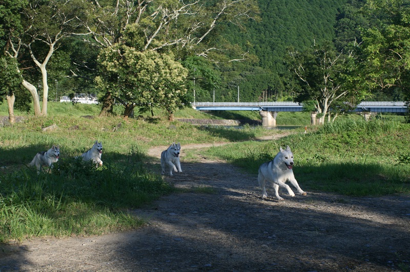 IMG_3274.JPG