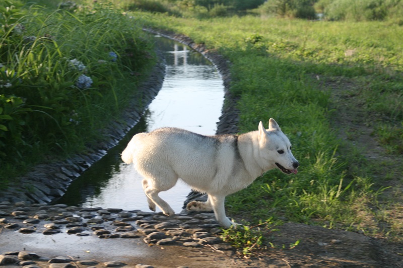 IMG_3399.JPG