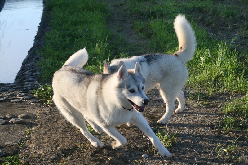 IMG_3400.JPG