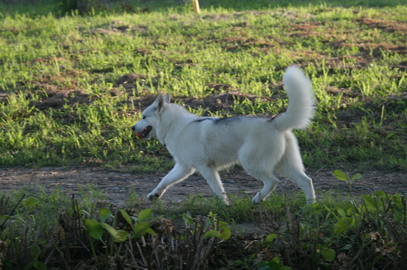 IMG_3404.JPG