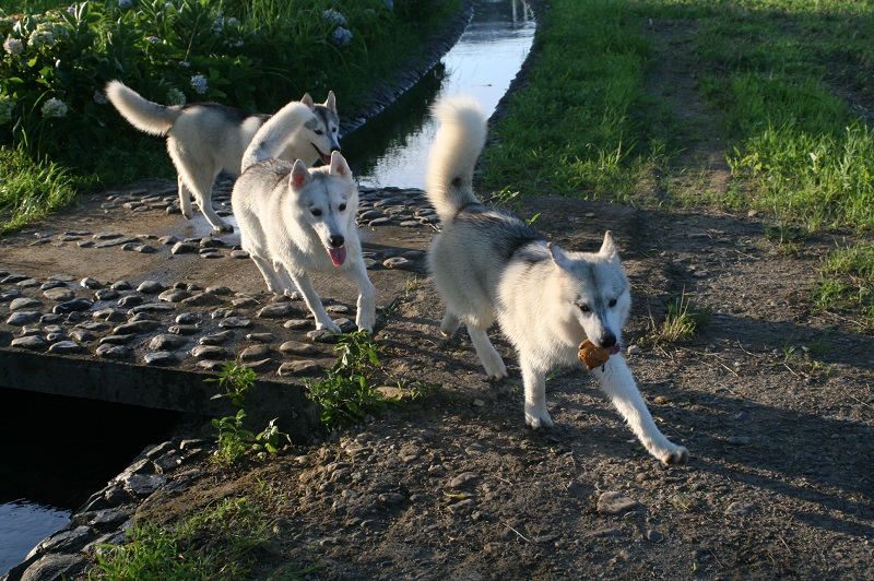 IMG_3408.JPG