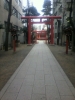 花園20100201