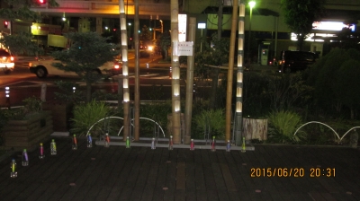 IMG_1448.JPG
