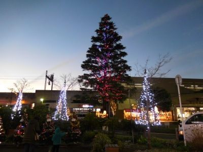 DSCN0289.JPG
