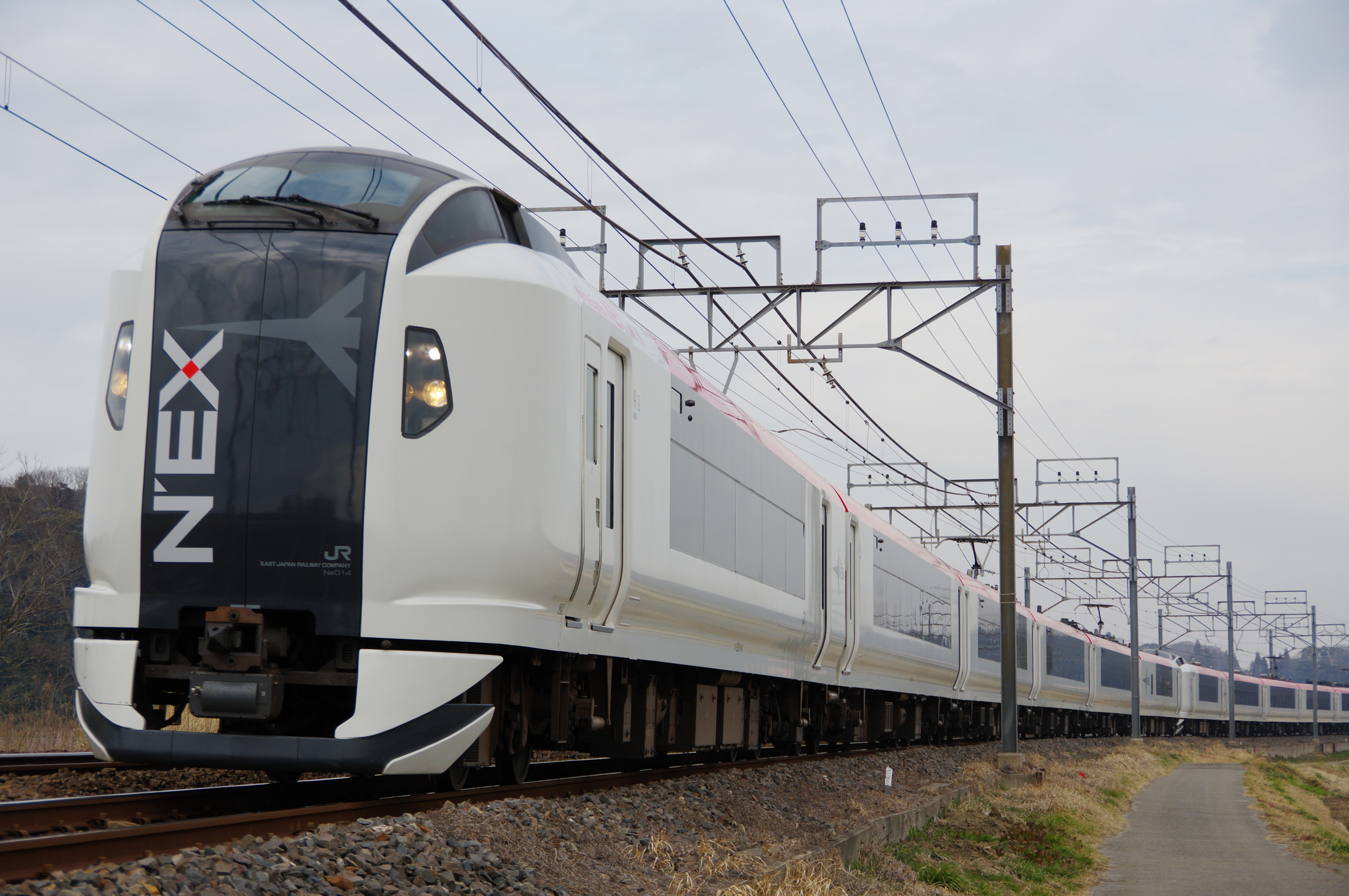 総武本線 佐倉−物井 E259系成田エクスプレス 失敗_190225.jpg