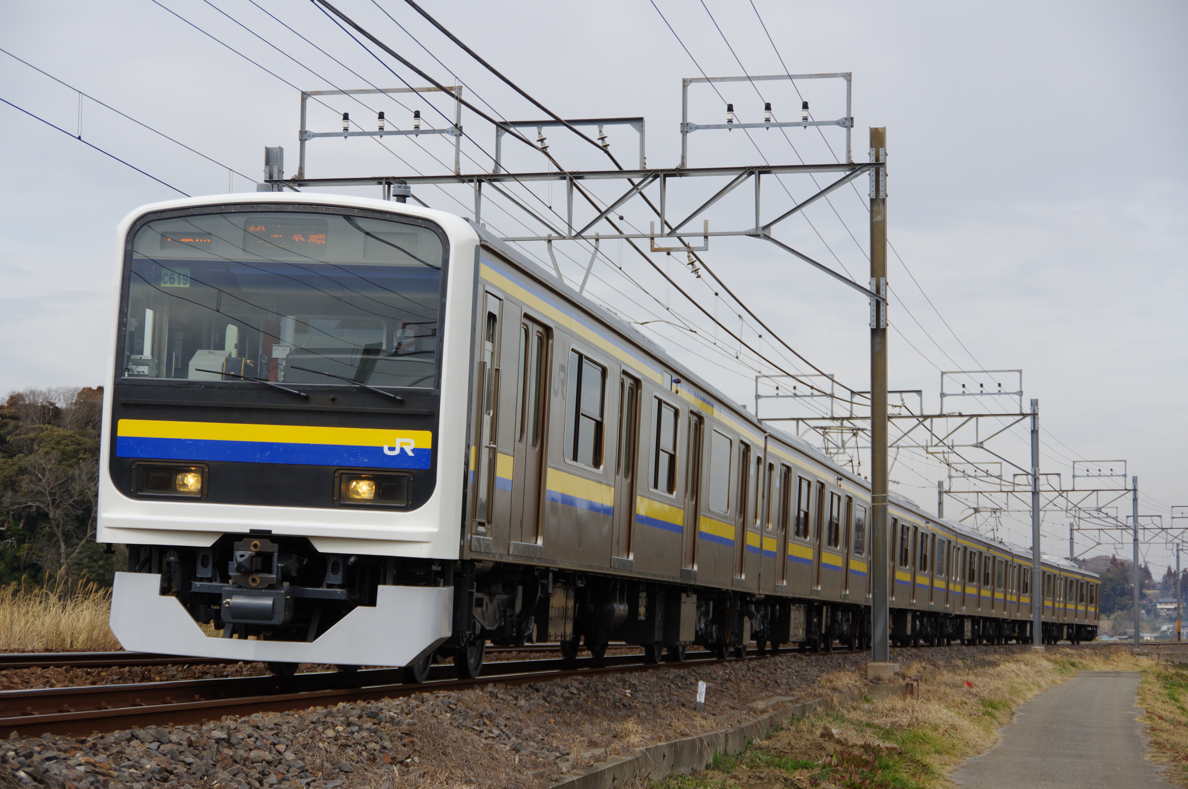 総武本線 209系 佐倉−物井_190225.jpg
