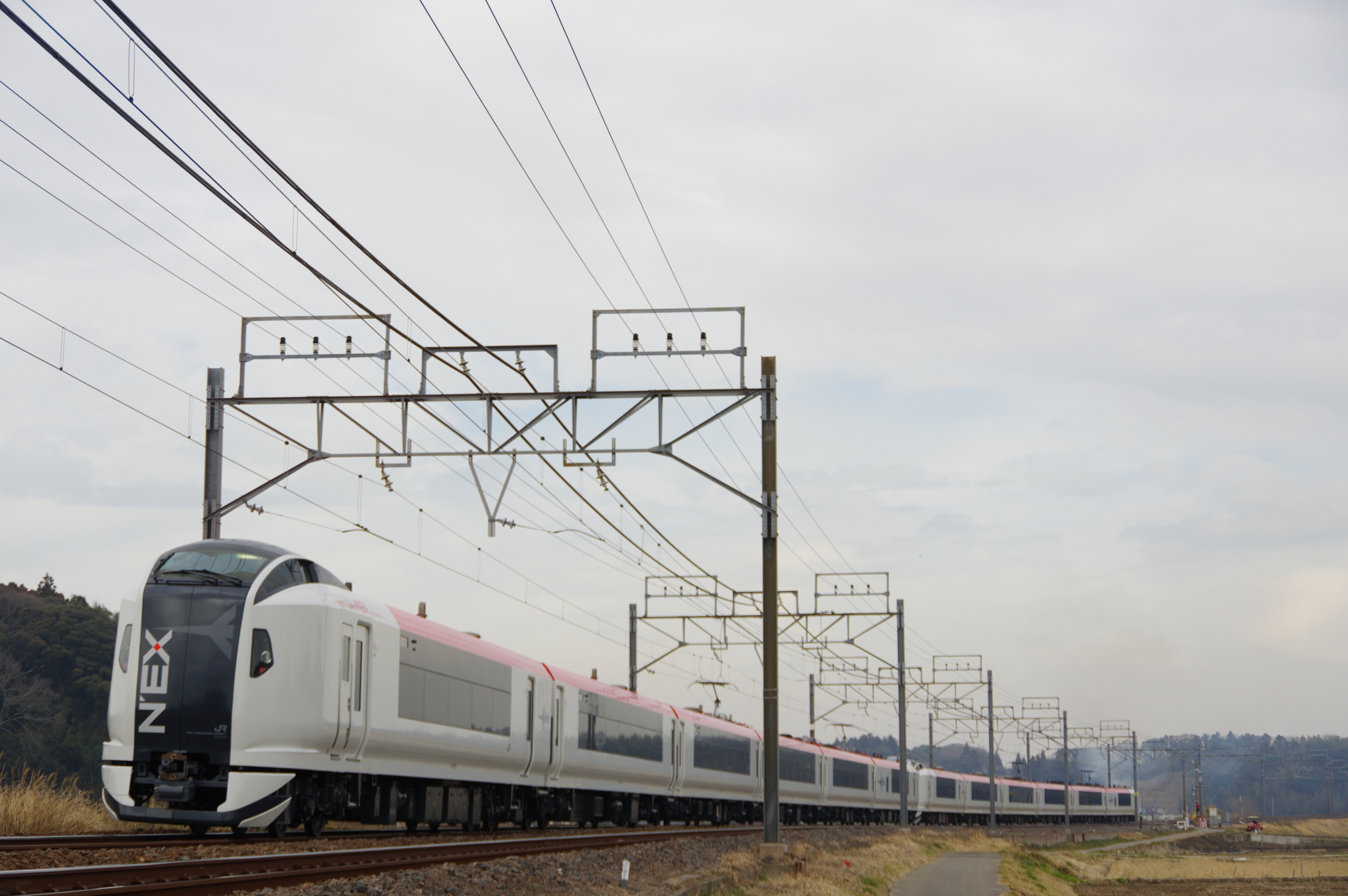 総武本線 E259系成田エクスプレス バックショット 佐倉−物井_190225.jpg