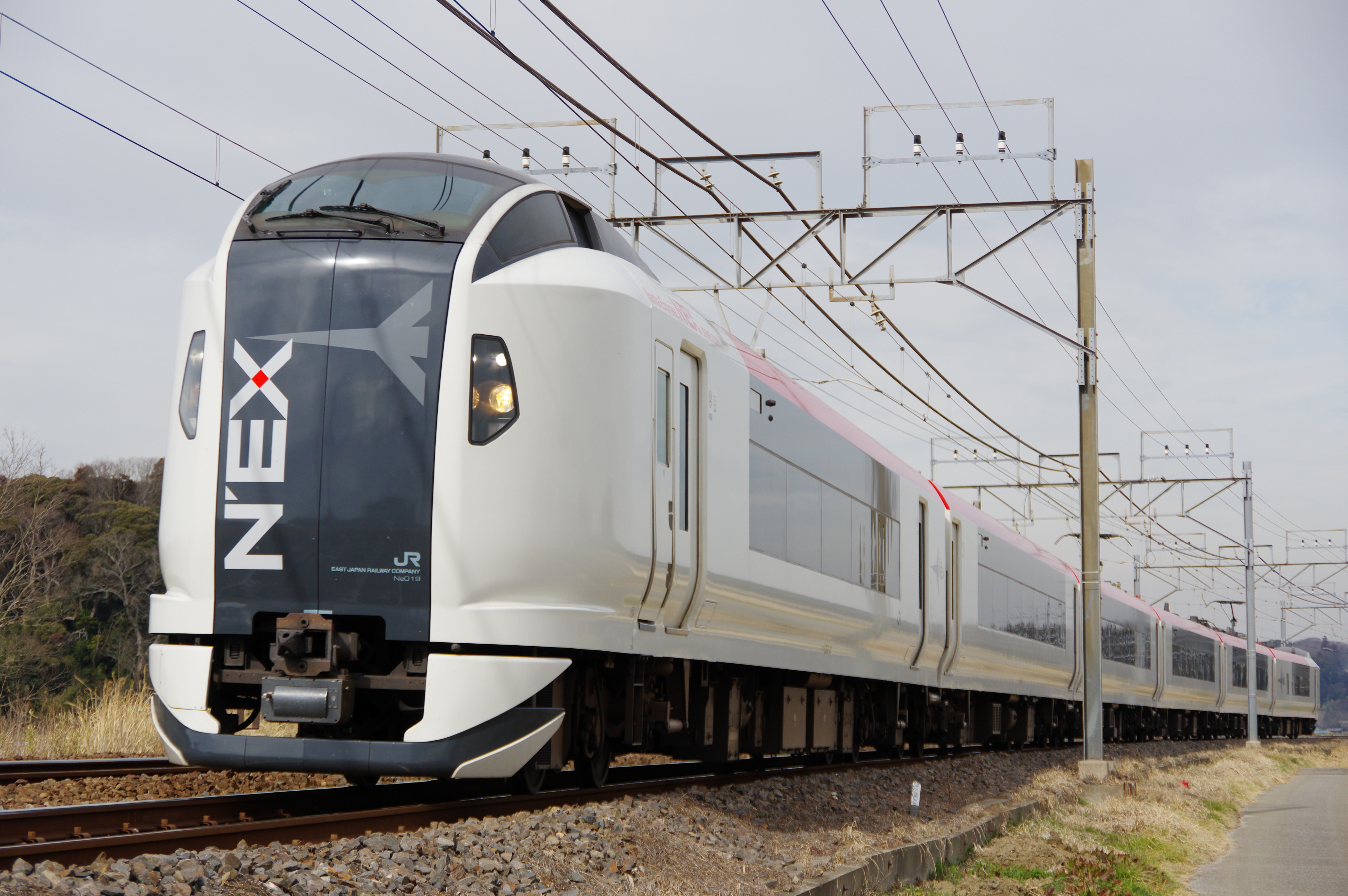総武本線 E259系成田エクスプレス 6両編成 佐倉−物井_190225.jpg