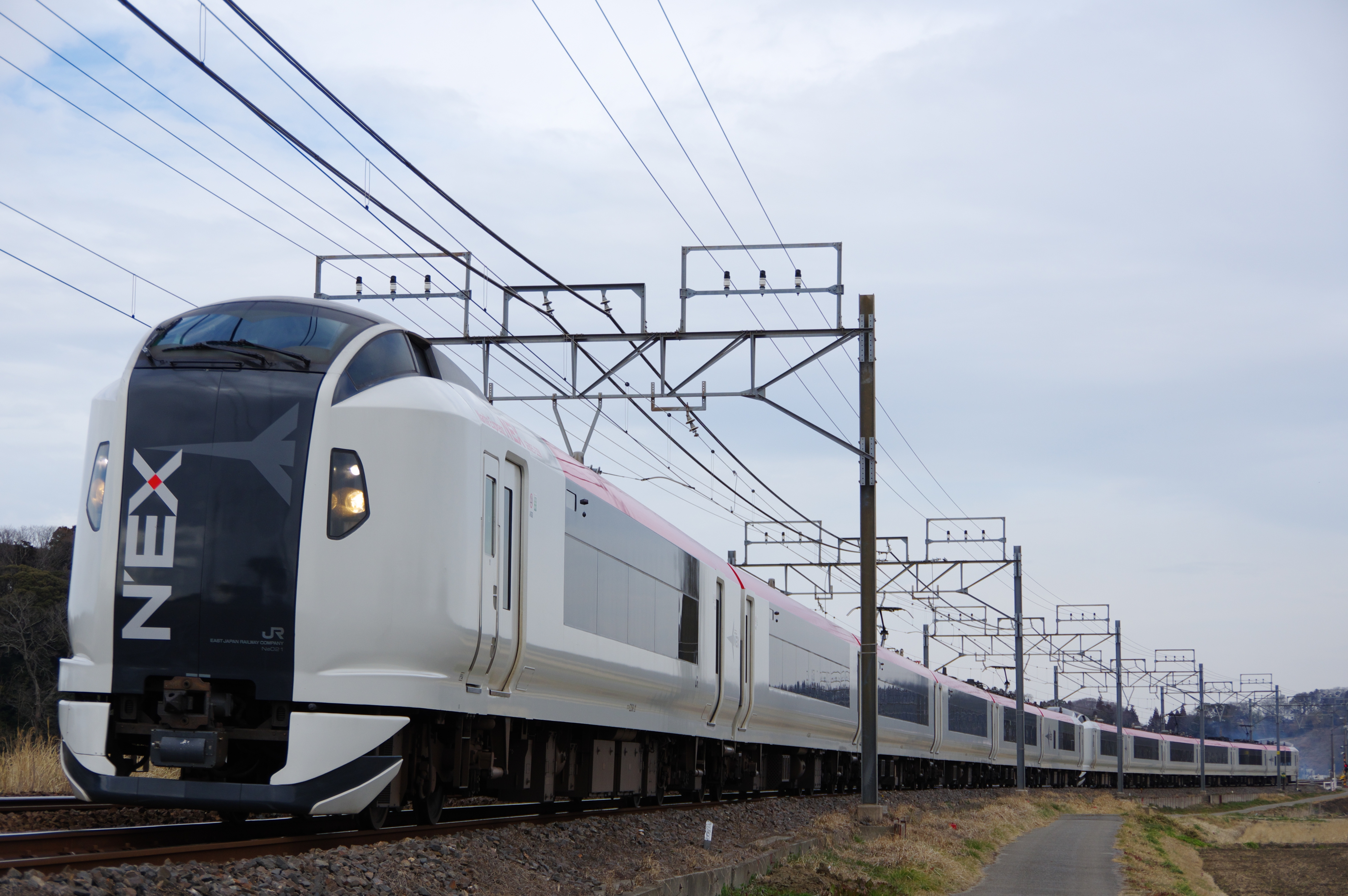 総武本線 E259系成田エクスプレス 12両編成 成功 佐倉−物井_190225.jpg