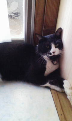 20090919163453.jpg