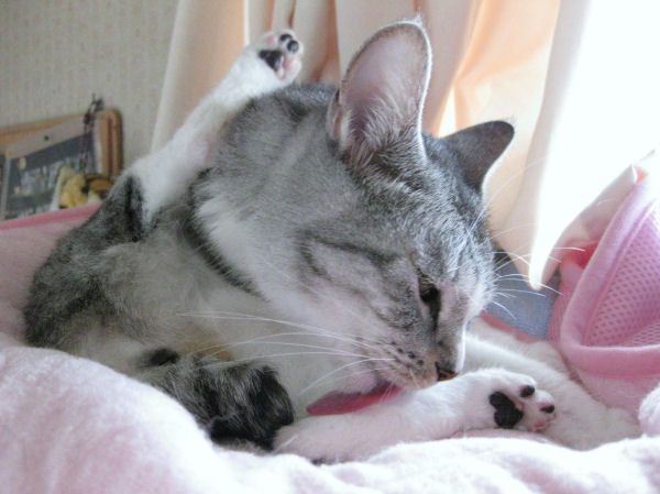 るるさっぱり