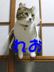 れお紹介