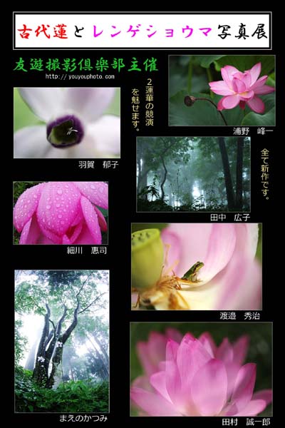 Ê¡À¸¥×¥Á¥®¥ã¥é¥ê¡¼¥Ï¥¹¡¦¥ì¥ó¥²¥·¥ç¥¦¥Þ