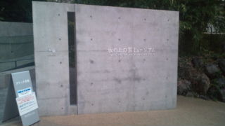 20101130155652.jpg