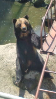 20120418123704.jpg
