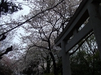 愛宕神社