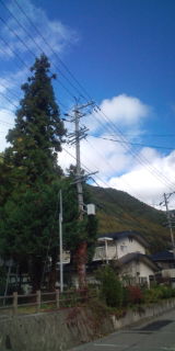 F1000872.jpg