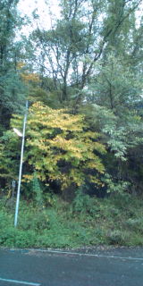 F1000898.jpg