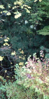 F1000914.jpg