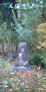 F1000916.jpg