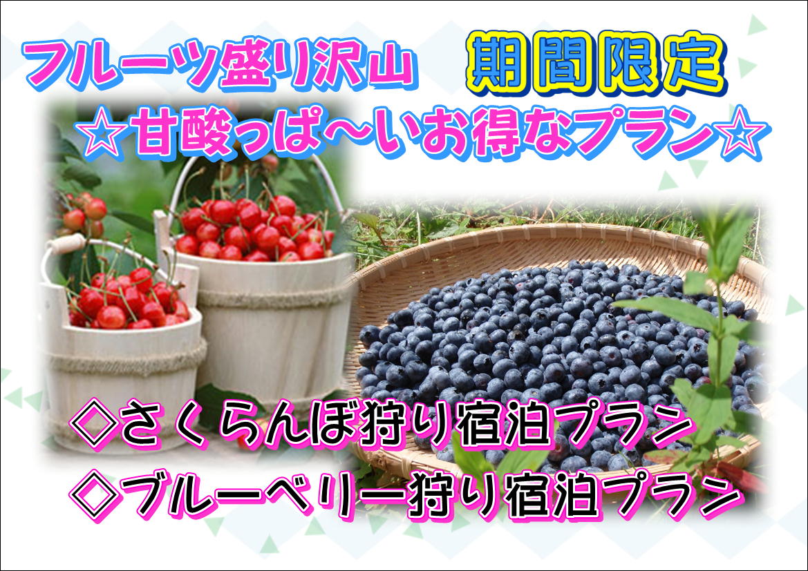 ¥Õ¥ë¡¼¥Ä¥×¥é¥ó