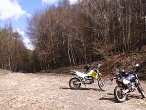 RIMG1555.JPG