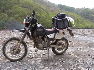 RIMG1596.JPG