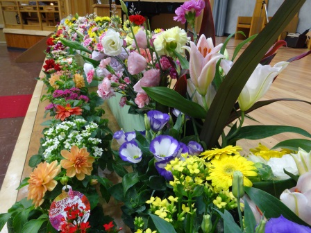 DSC00238.JPG