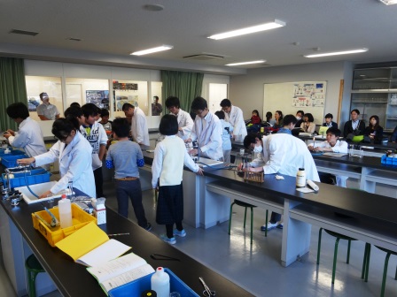 DSC07266.JPG