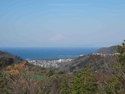 DSC08390.jpg