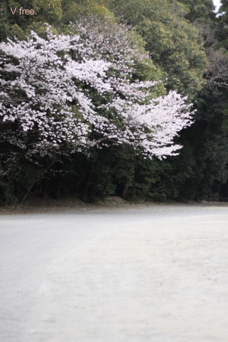 宮崎神宮西神苑
